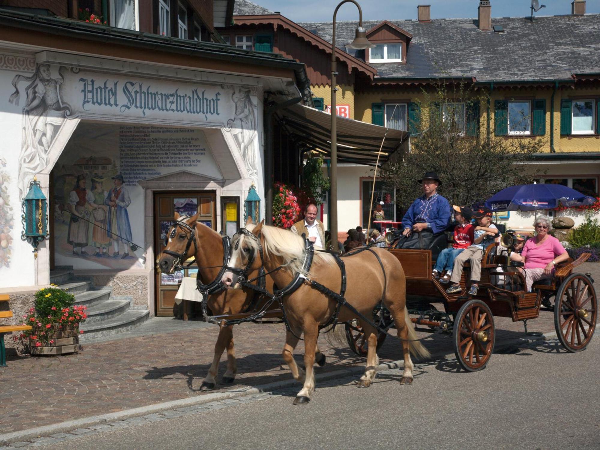 Hotel Schwarzwaldhof Hinterzarten Eksteriør bilde